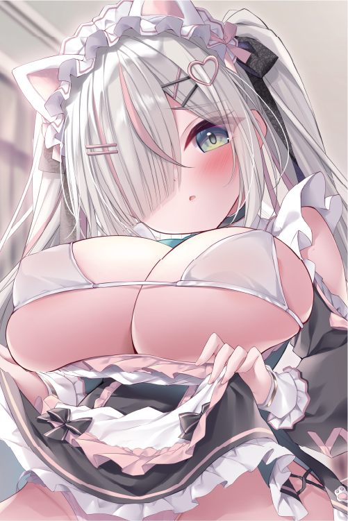 しばいぬにき先生